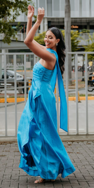 BRISA